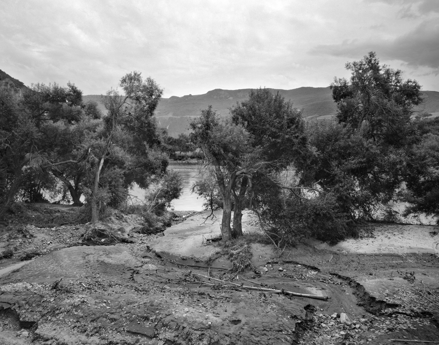 沈学哲 Sheng Xuezhe | 江边的树林 Elm on the Riverside | Gelatin Silver 明胶卤化银, 71 x79 cm, 2010