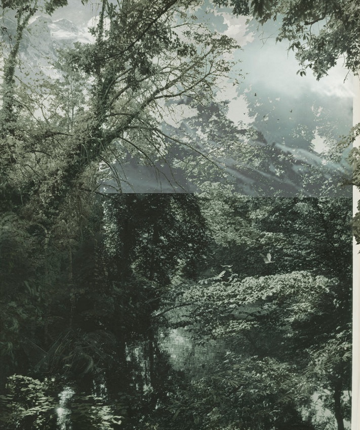 Aki Lumi “The Garden No.6″ photograph, pigment print, 178 x 149 cm, 2012