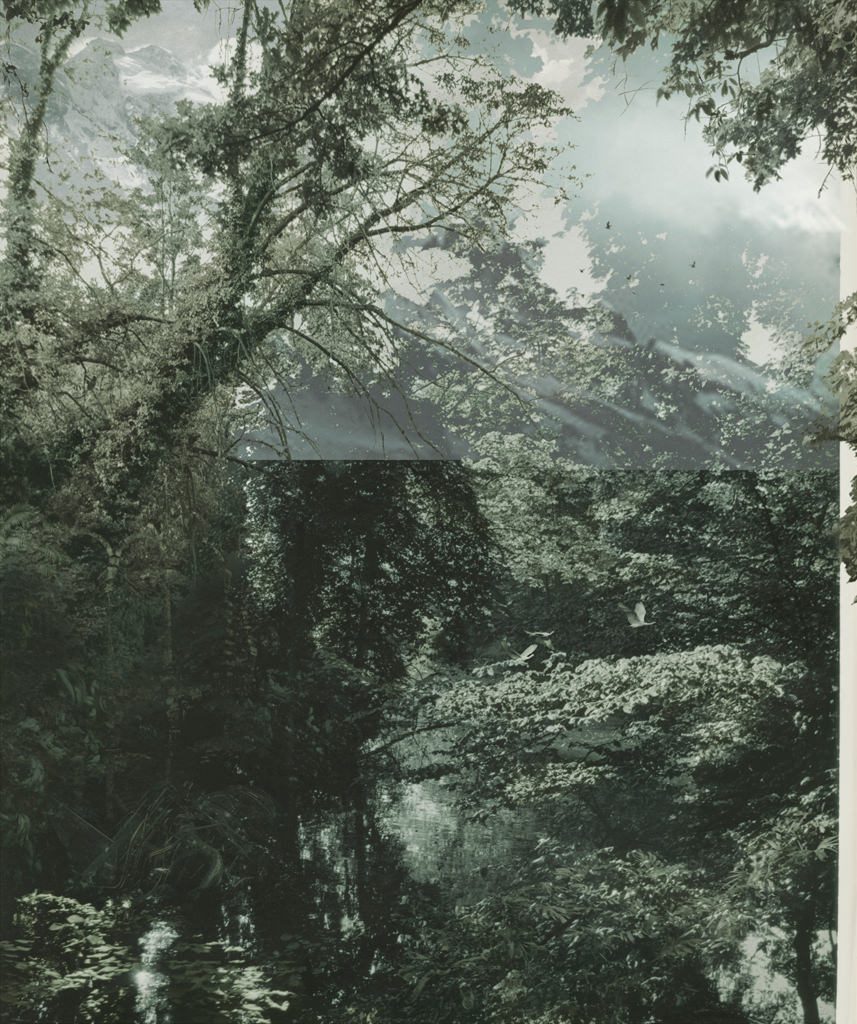 2012 Aki Lumi “The Garden No.6″ photograph, pigment print, 178 x 149 cm